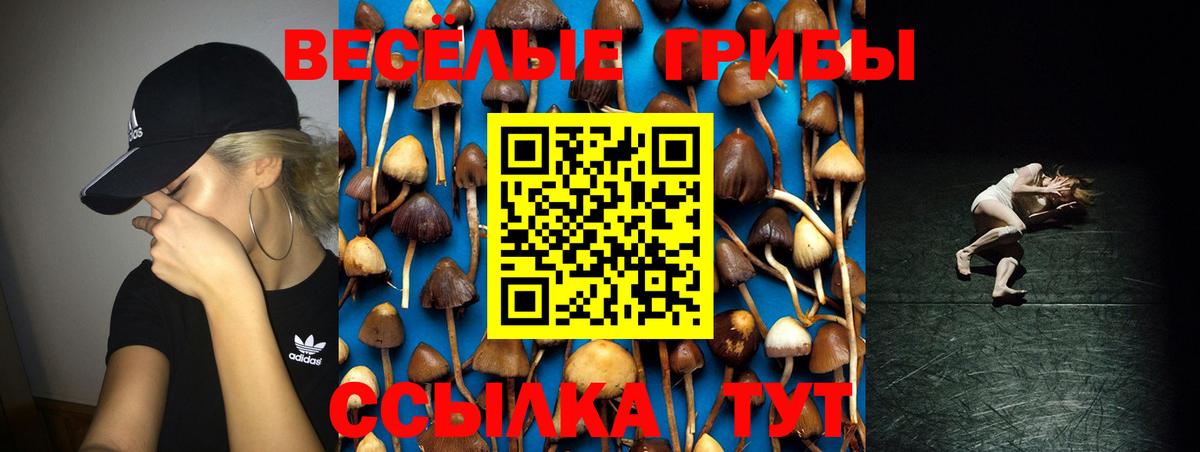 Туапсе  Галлюциногенные грибы GOLDEN TEACHER  наркошоп  Вход с VPN 