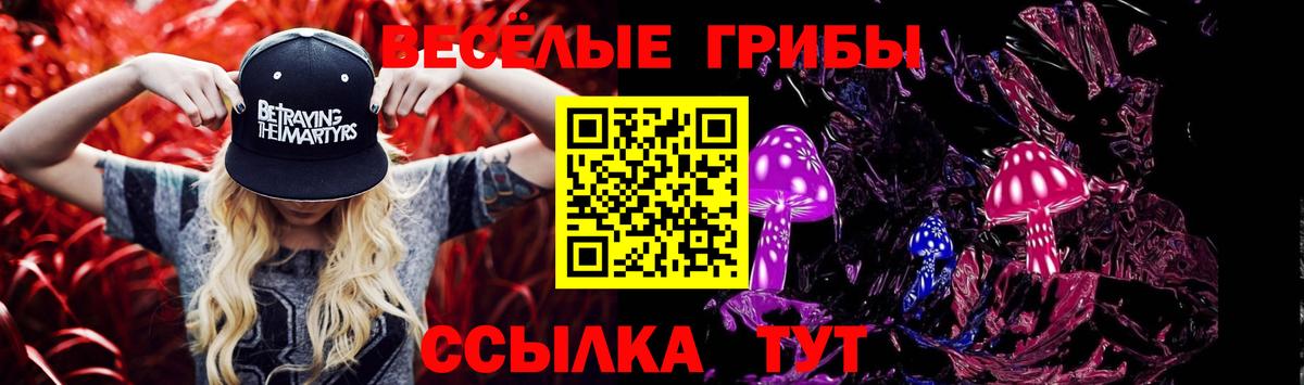 Псилоцибиновые грибы MAGIC MUSHROOMS Туапсе